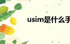 usim是什么手机卡（usim）