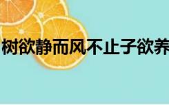 树欲静而风不止子欲养而亲不待的道理和意思