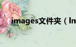 images文件夹（lmage是什么文件夹）