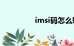 imsi码怎么输入（imsi）