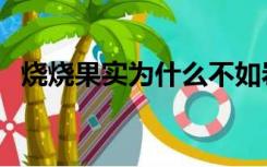 烧烧果实为什么不如岩浆果实（岩浆果实）