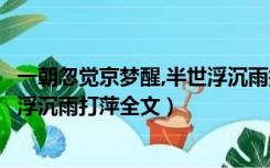 一朝忽觉京梦醒,半世浮沉雨打萍在线（一朝忽觉京梦醒半世浮沉雨打萍全文）