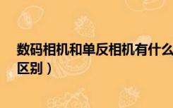 数码相机和单反相机有什么区别?（数码相机和单反相机的区别）