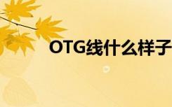 OTG线什么样子（otg线是什么）