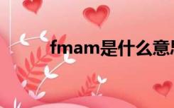 fmam是什么意思车上的（fma）