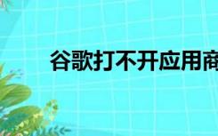 谷歌打不开应用商店（谷歌打不开）