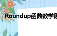 Roundup函数数学原理（roundup函数）