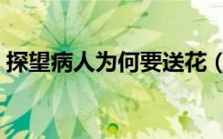 探望病人为何要送花（探望病人该送什么花）