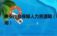 泰安社会保障人力资源网（泰安市人力资源和社会保障局查询）