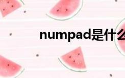 numpad是什么键（numpad）