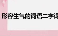 形容生气的词语二字词语（形容生气的成语）