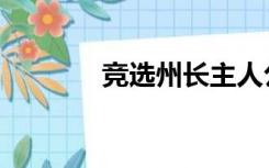 竞选州长主人公（竞选州长）