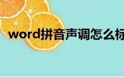 word拼音声调怎么标改（word拼音声调）