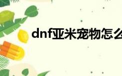 dnf亚米宠物怎么获得（dnf亚米）