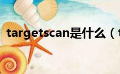 targetscan是什么（targetscan使用方法）