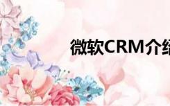 微软CRM介绍（微软crm）