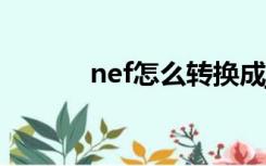 nef怎么转换成jpg格式（nef）