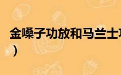 金嗓子功放和马兰士功放哪个好（金嗓子功放）