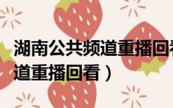 湖南公共频道重播回看在哪里看（湖南公共频道重播回看）