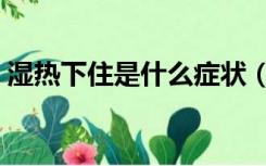 湿热下住是什么症状（湿热下注是什么意思）