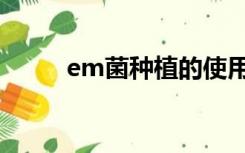 em菌种植的使用方法（em菌种）