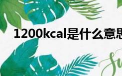 1200kcal是什么意思（kcal是什么意思）