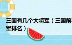 三国有几个大将军（三国前将军 后将军 左将军 右将军四将军排名）