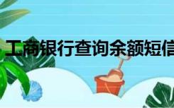 工商银行查询余额短信（工商银行查询余额）