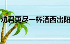 劝君更尽一杯酒西出阳关无故人属于哪个省市