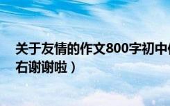 关于友情的作文800字初中作文（关于友情的作文800字左右谢谢啦）