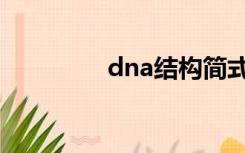 dna结构简式（dna结构）