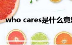 who cares是什么意思英语（who cares）