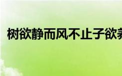 树欲静而风不止子欲养而亲不待是什么意思