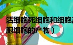 活细胞死细胞和细胞产物的区别（活细胞死细胞细胞的产物）