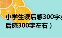 小学生读后感300字左右故事例文（小学生读后感300字左右）