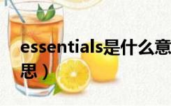 essentials是什么意思（essential是什么意思）