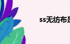 ss无纺布是什么意思