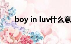 boy in luv什么意思（luv什么意思）