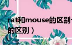 rat和mouse的区别十二生肖（rat和mouse的区别）