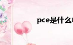 pce是什么单位（pce）