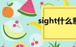 sight什么意思（sigh）