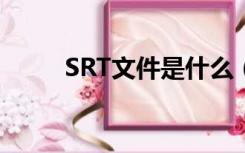 SRT文件是什么（srt是什么文件）