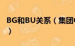 BG和BU关系（集团中的BG与BU是指的什么）