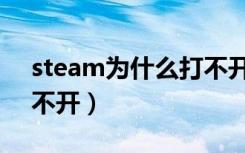 steam为什么打不开游戏（steam为什么打不开）