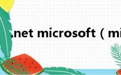 .net microsoft（microsoft net是什么）