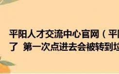 平阳人才交流中心官网（平阳人才交流中心网站是不是被黑了  第一次点进去会被转到垃）