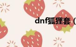 dnf狐狸套（dnf北极狐）