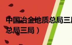 中国冶金地质总局三局物探队（中国冶金地质总局三局）