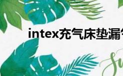 intex充气床垫漏气（intex充气床）