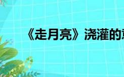 《走月亮》浇灌的意思（浇灌的意思）